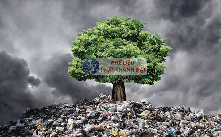 ô nhiễm môi trường là gì?